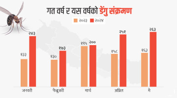 ७२ जिल्लामा फैलियो डेंगु, काठमाडौंमा सबैभन्दा बढी